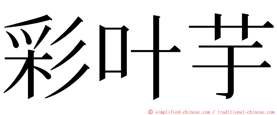 彩叶芋 ming font