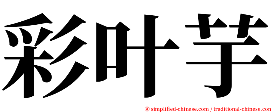 彩叶芋 serif font