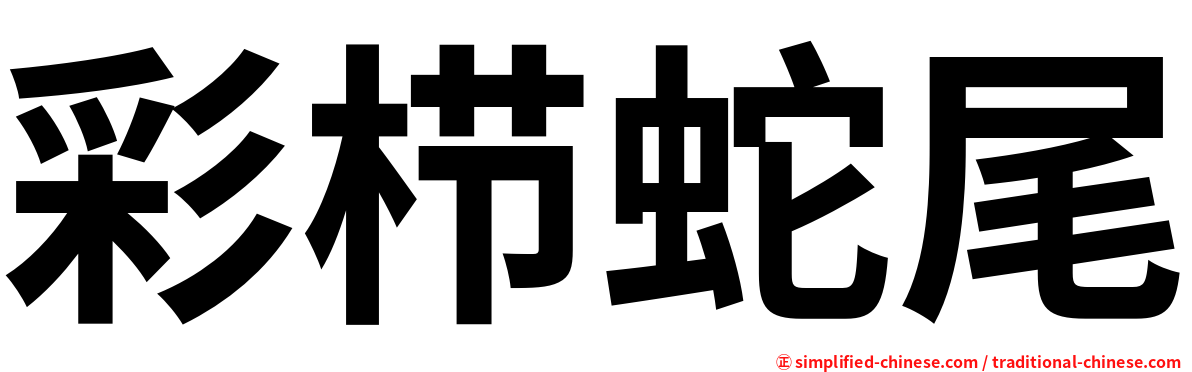 彩栉蛇尾