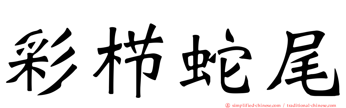 彩栉蛇尾