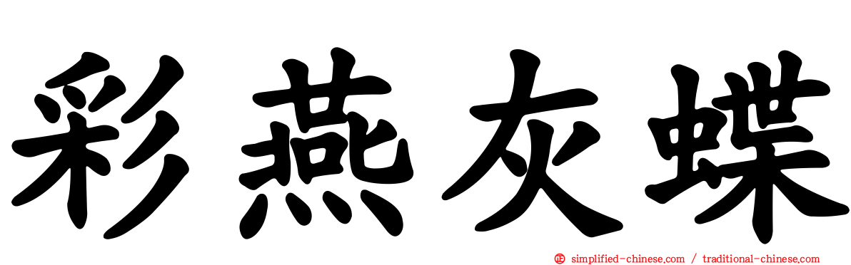 彩燕灰蝶