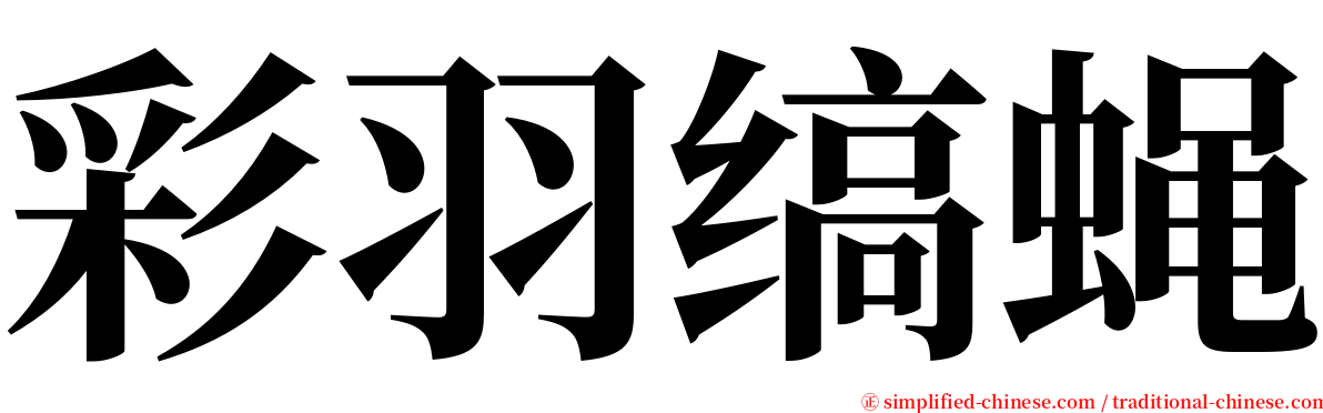 彩羽缟蝇 serif font