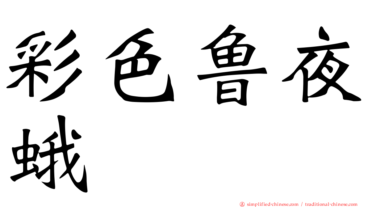 彩色鲁夜蛾