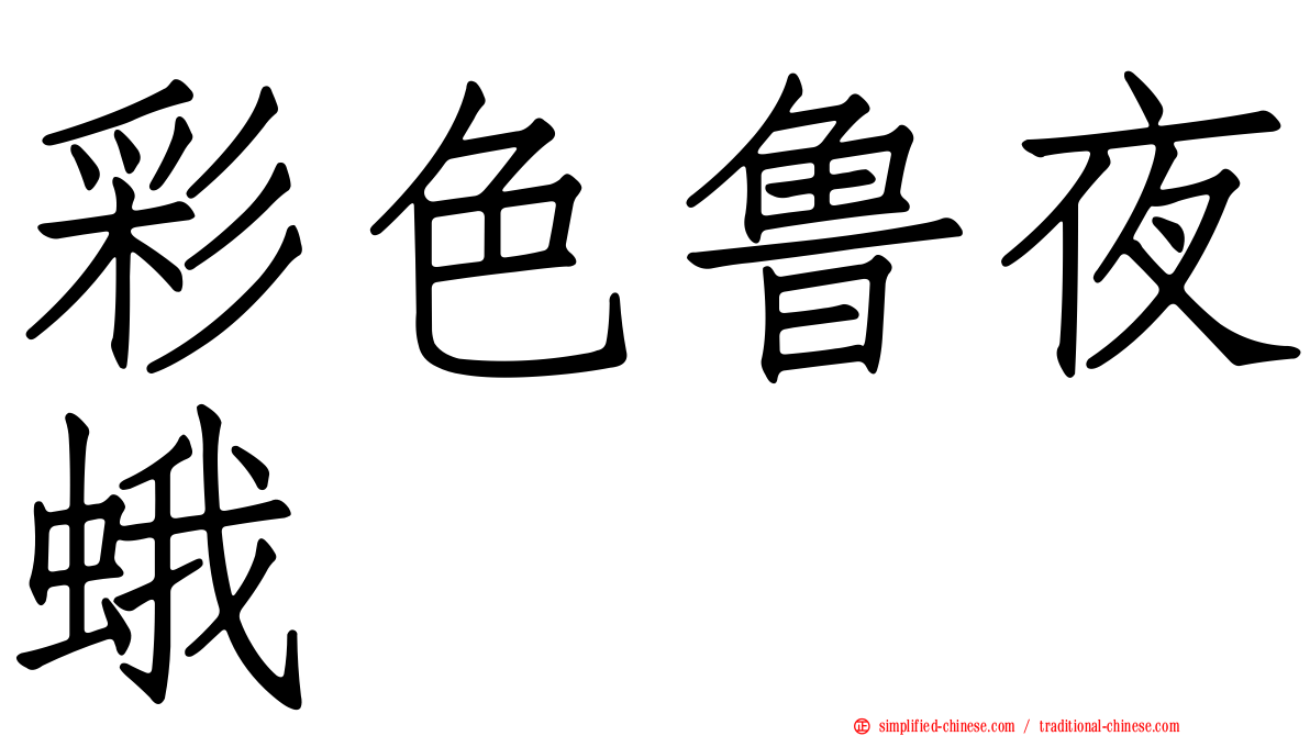 彩色鲁夜蛾