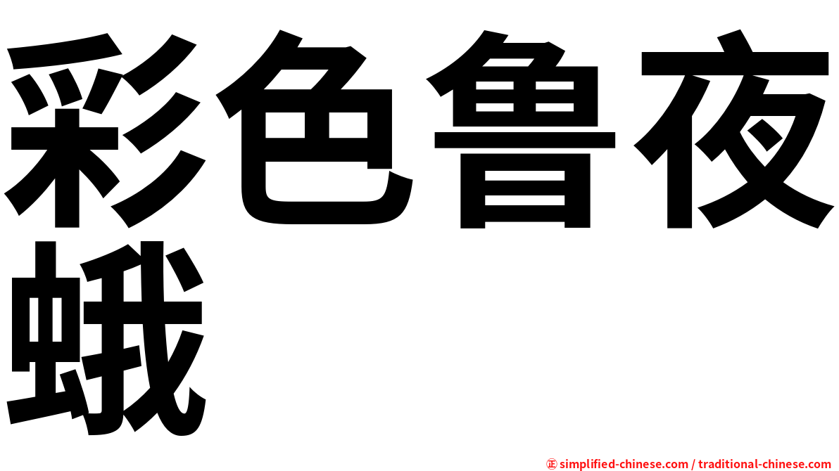 彩色鲁夜蛾
