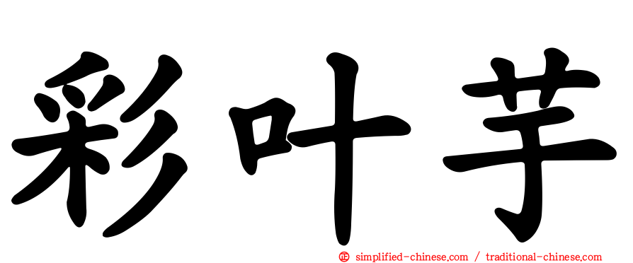 彩叶芋