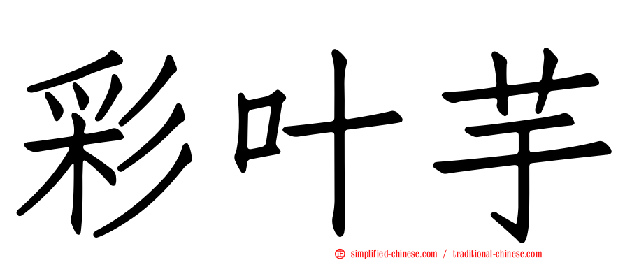 彩叶芋