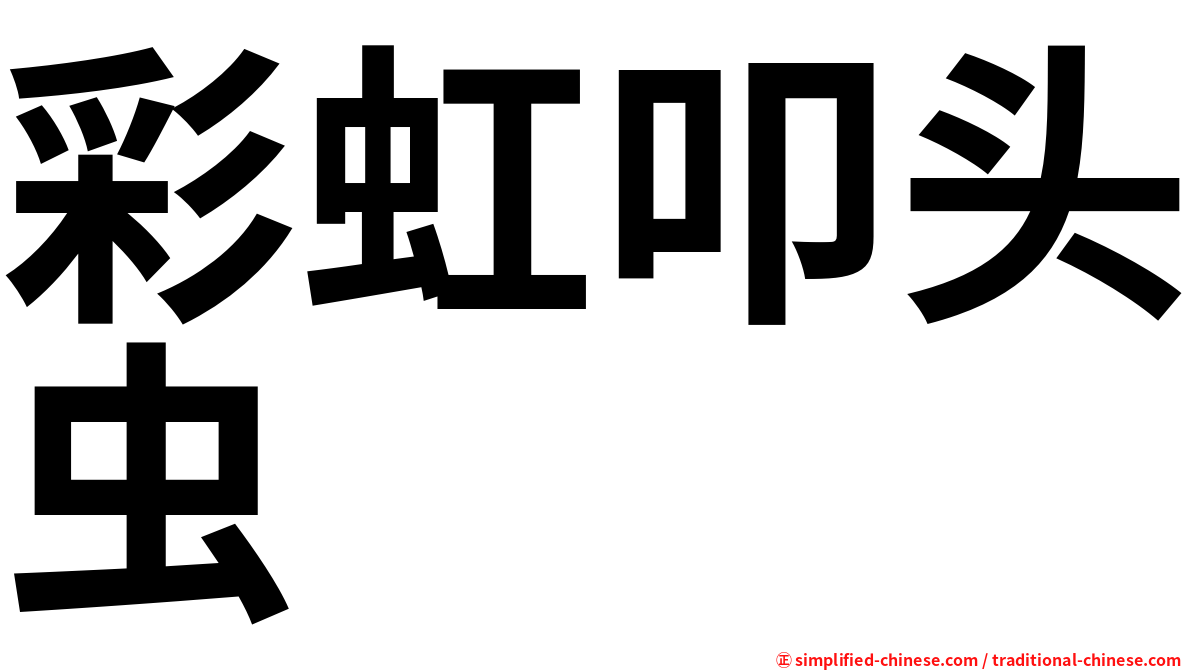 彩虹叩头虫