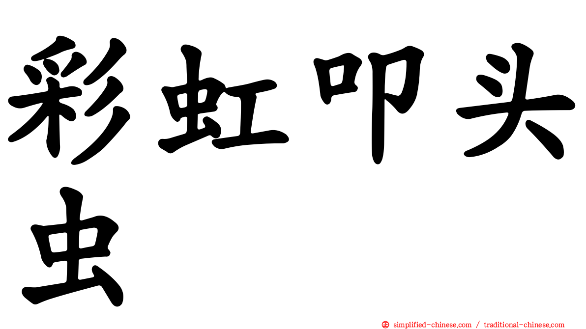 彩虹叩头虫