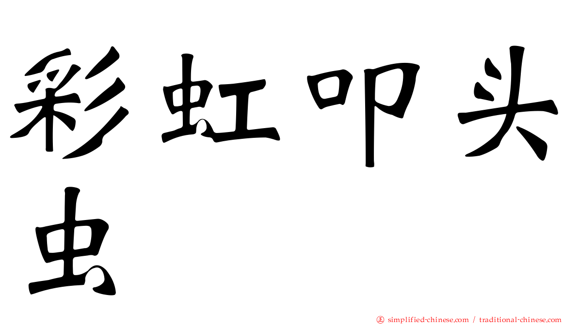 彩虹叩头虫