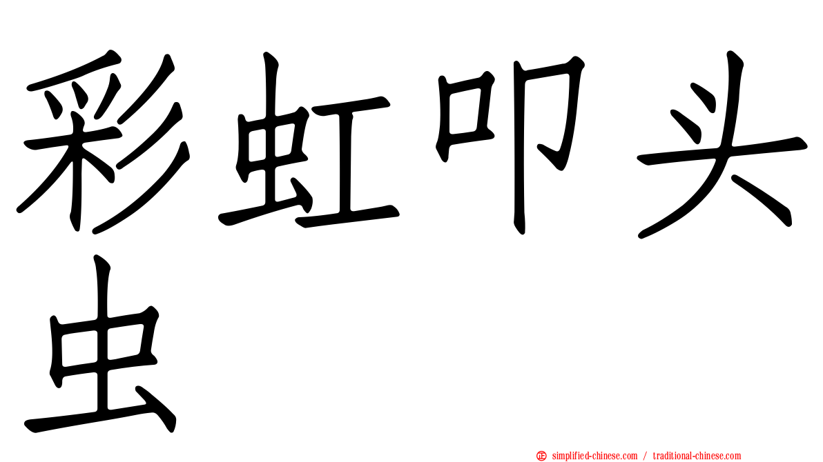 彩虹叩头虫