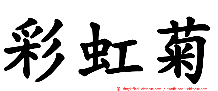 彩虹菊