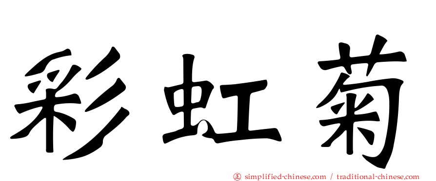 彩虹菊