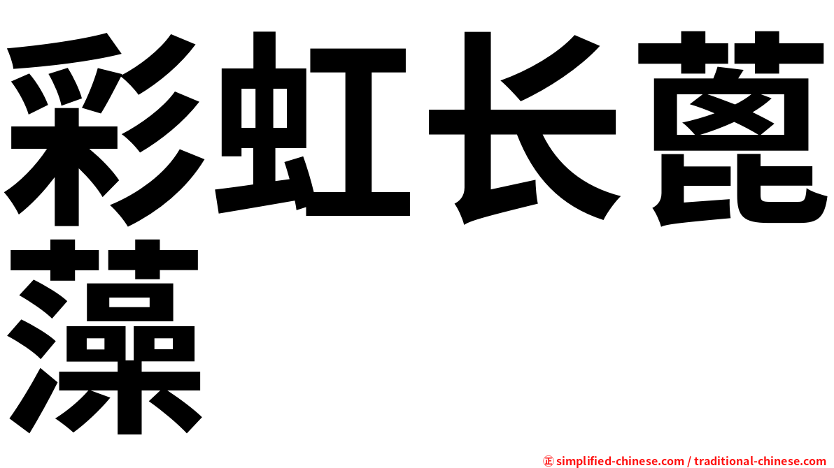 彩虹长蓖藻