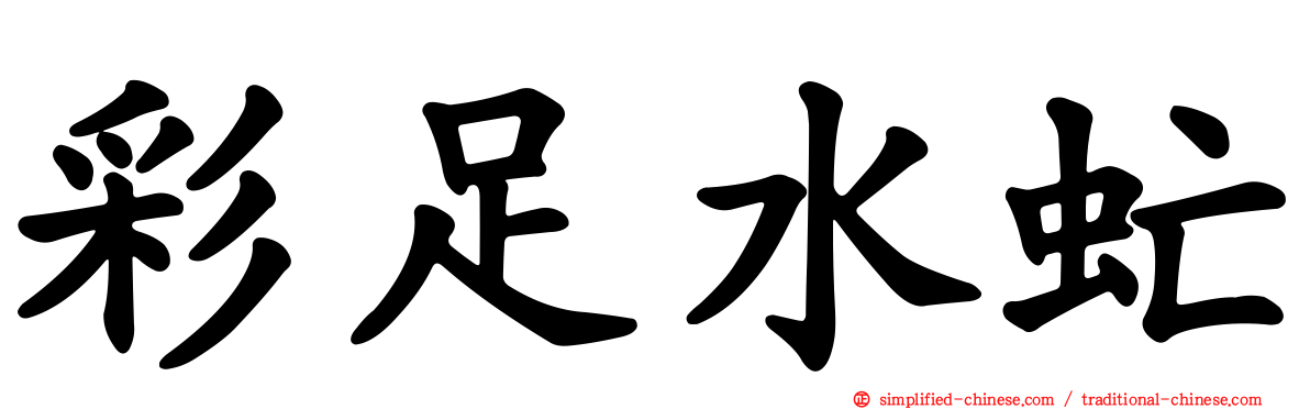 彩足水虻