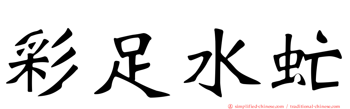 彩足水虻