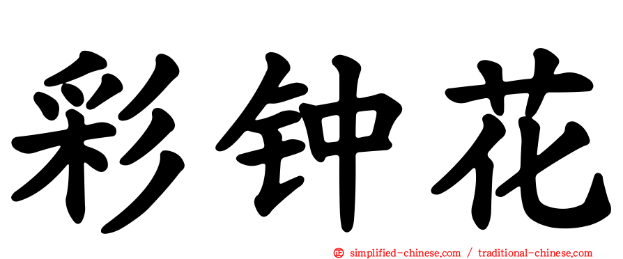 彩钟花