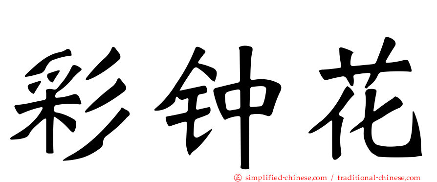 彩钟花