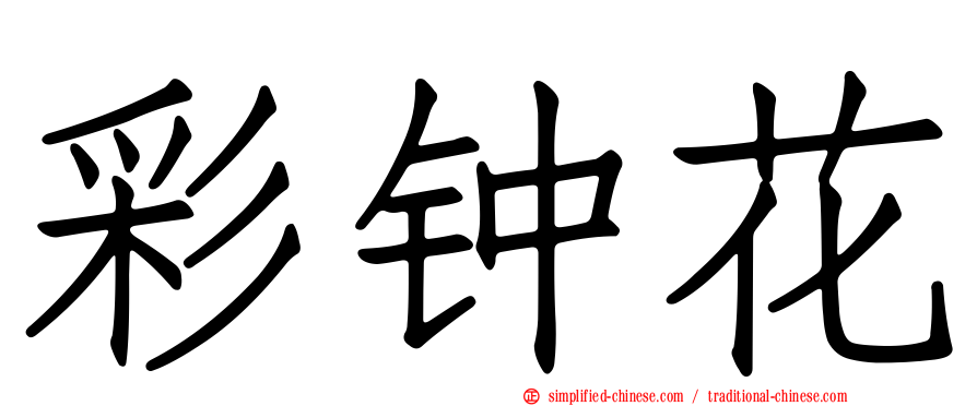 彩钟花
