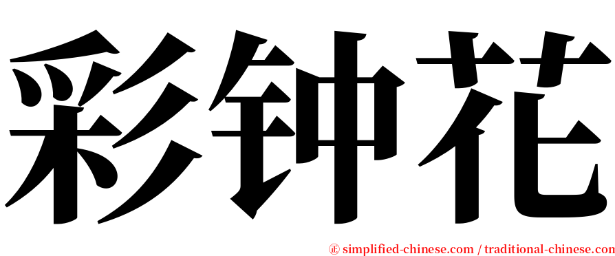 彩钟花 serif font
