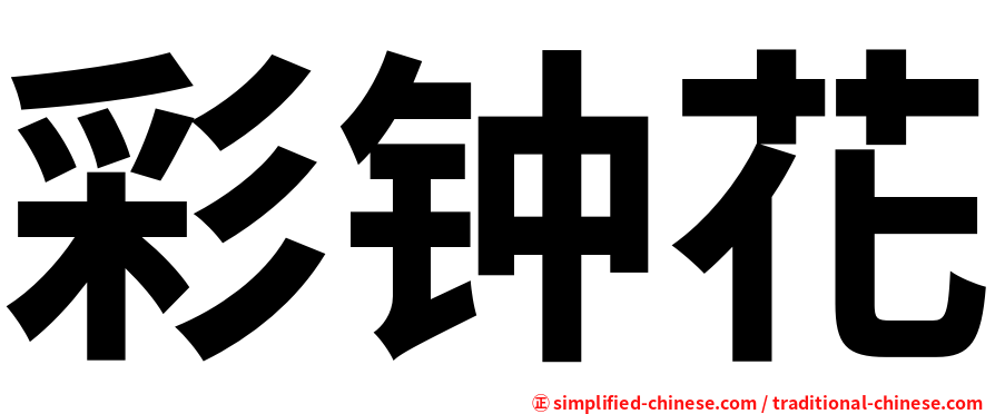 彩钟花