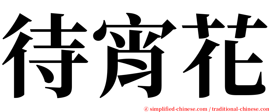 待宵花 serif font