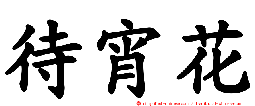 待宵花