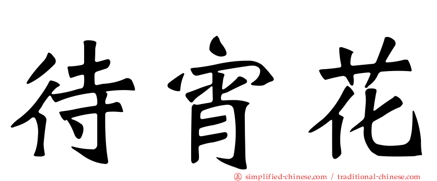 待宵花