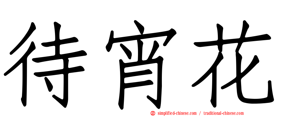 待宵花