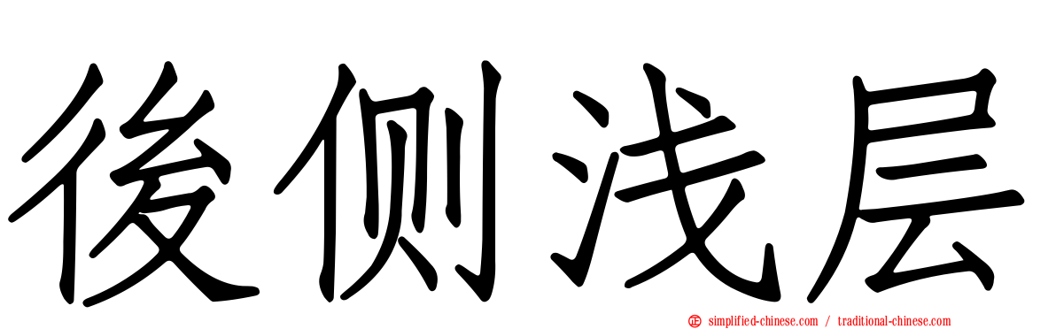 后侧浅层