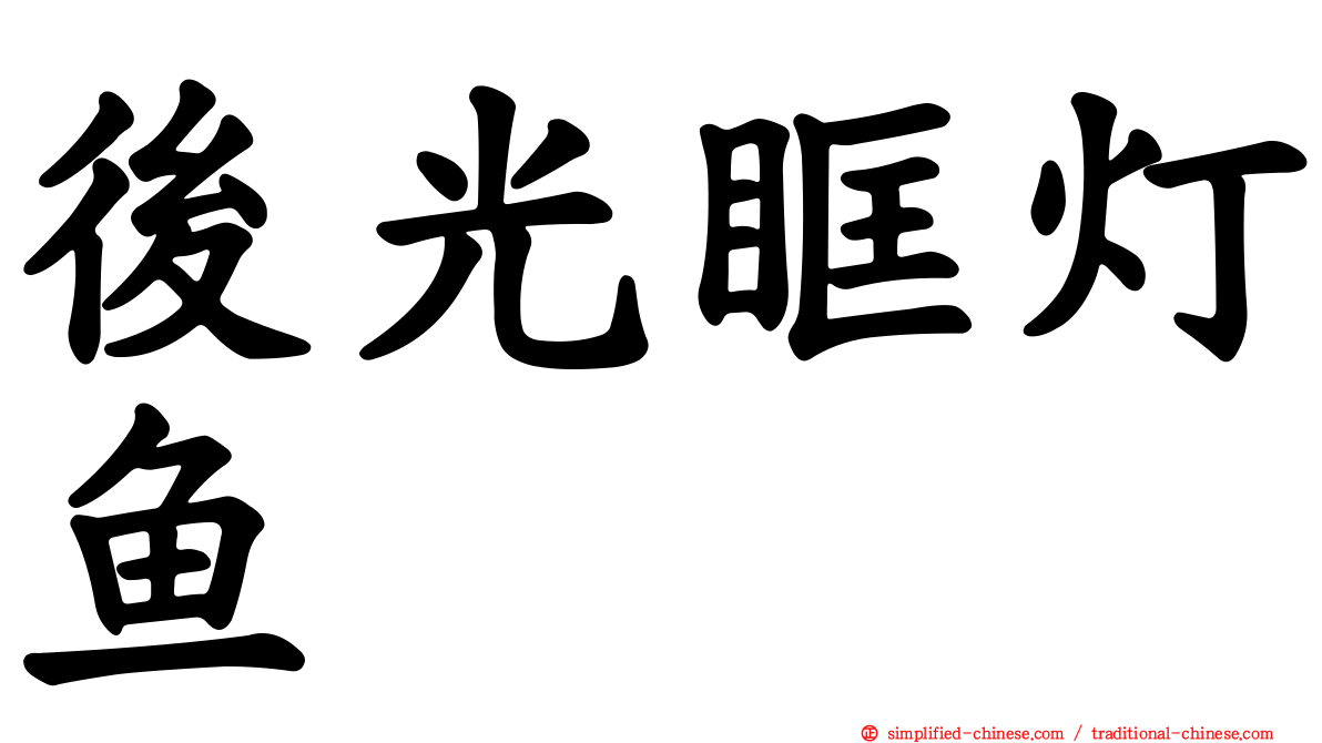 后光眶灯鱼