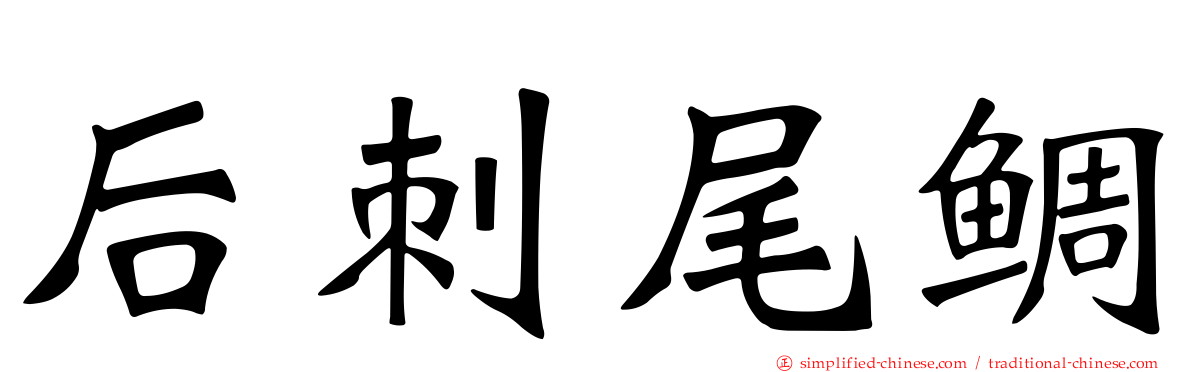 后刺尾鲷