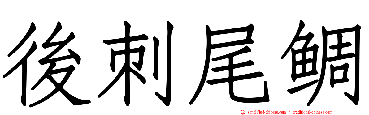 后刺尾鲷