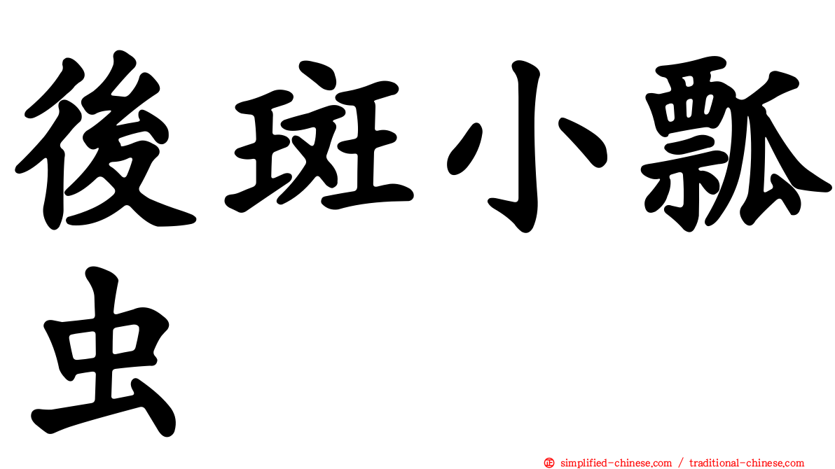 后斑小瓢虫