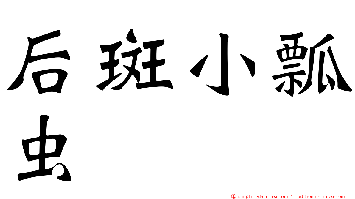 后斑小瓢虫