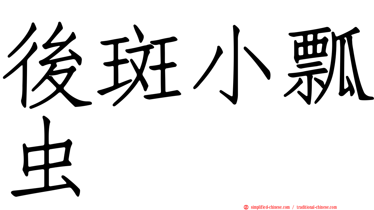 后斑小瓢虫