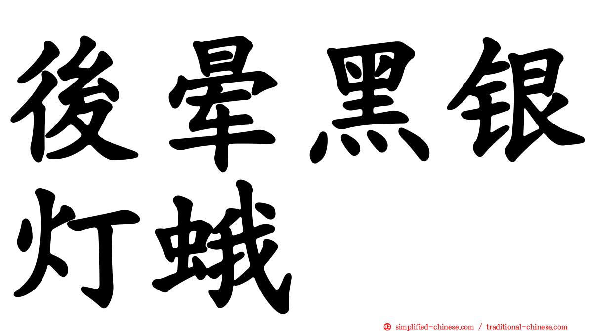 后晕黑银灯蛾