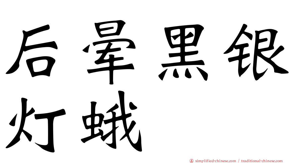 后晕黑银灯蛾
