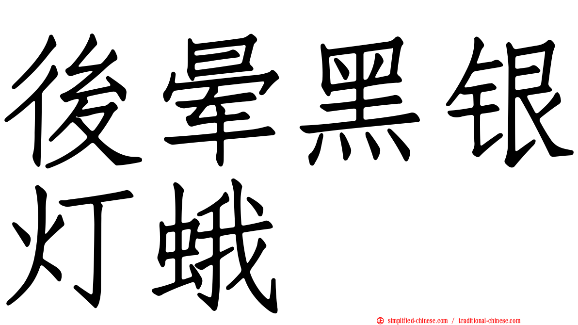 后晕黑银灯蛾