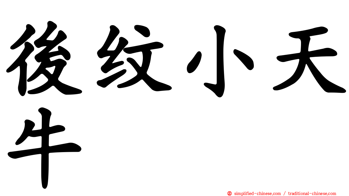 后纹小天牛