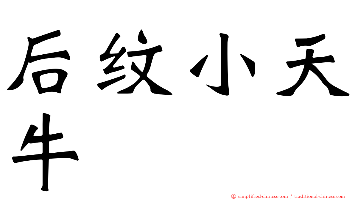 后纹小天牛