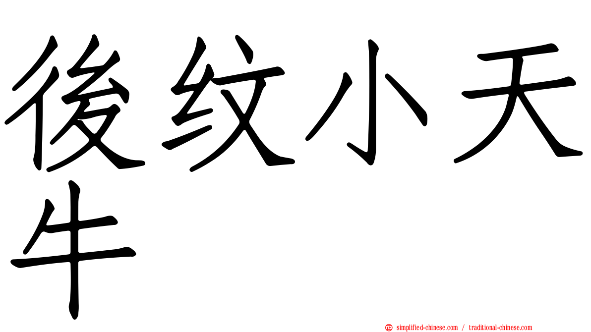 后纹小天牛