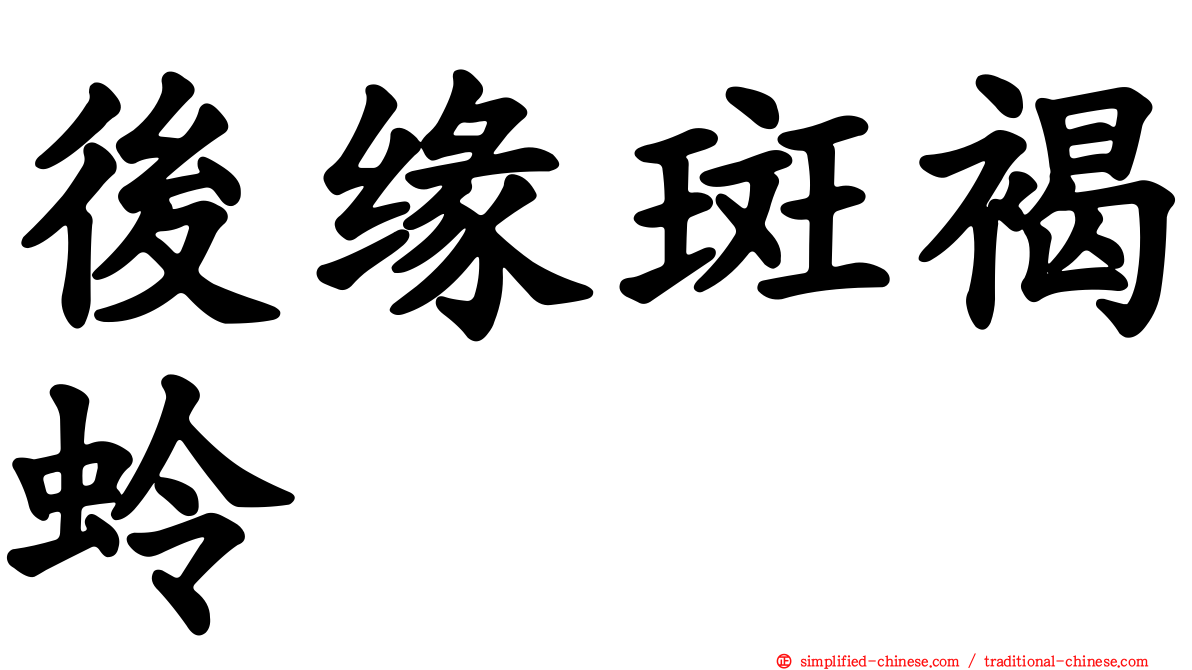 后缘斑褐蛉