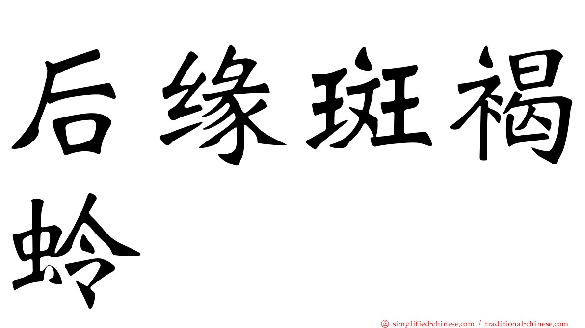 后缘斑褐蛉