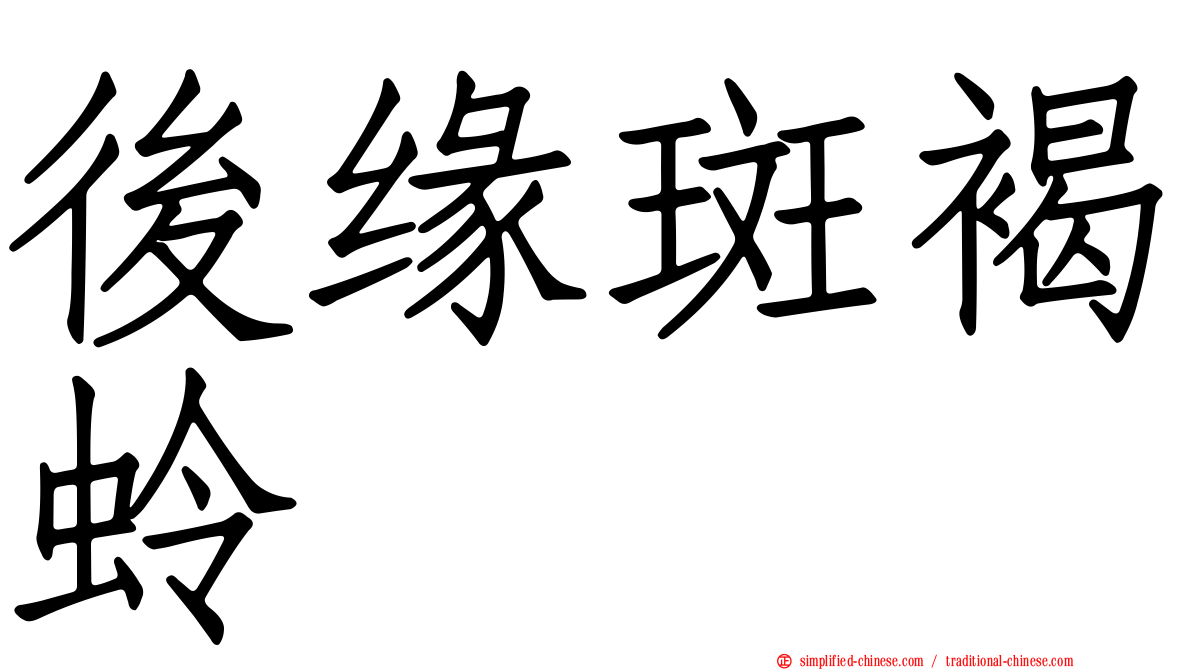 后缘斑褐蛉