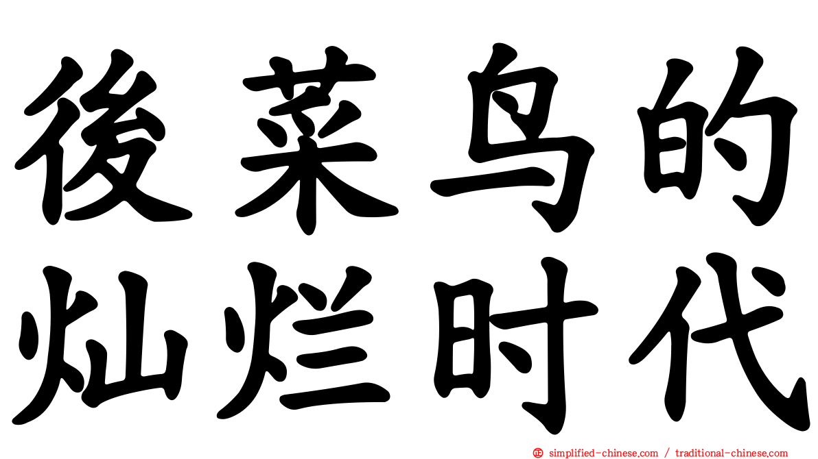 后菜鸟的灿烂时代