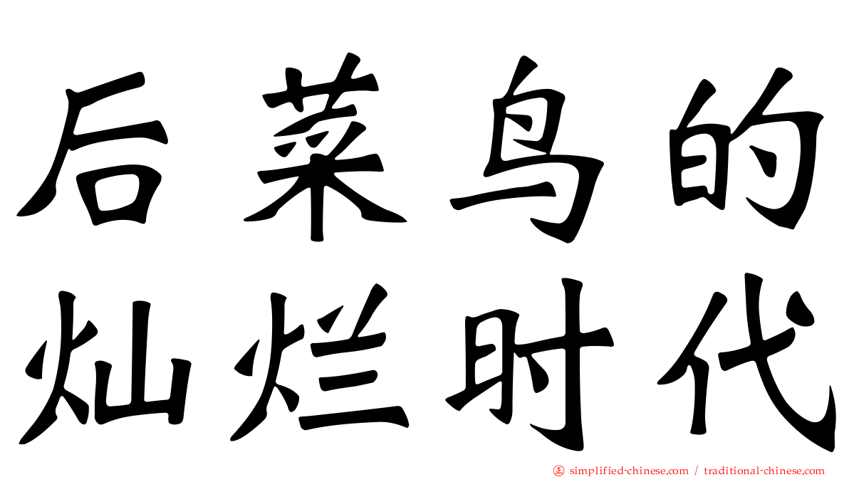 后菜鸟的灿烂时代