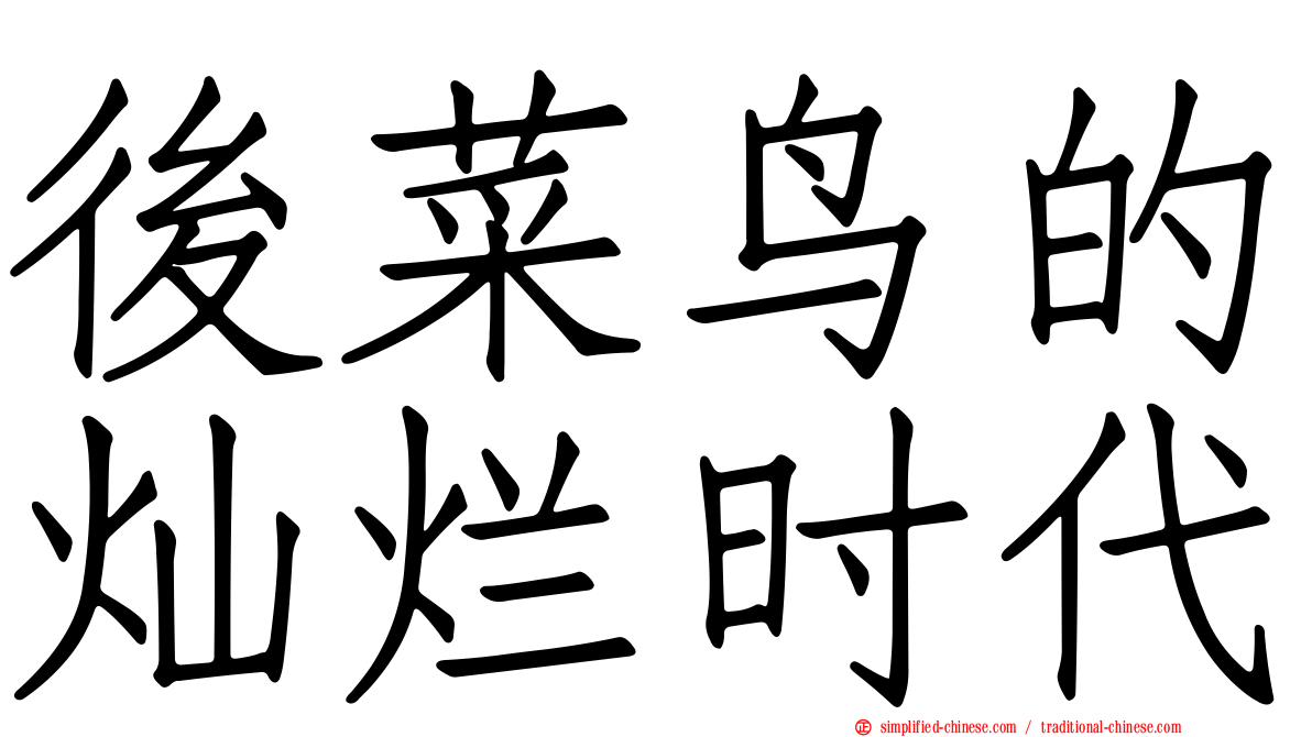 后菜鸟的灿烂时代