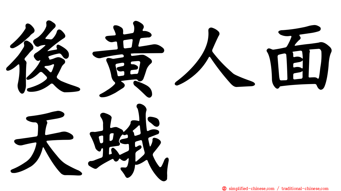 后黄人面天蛾