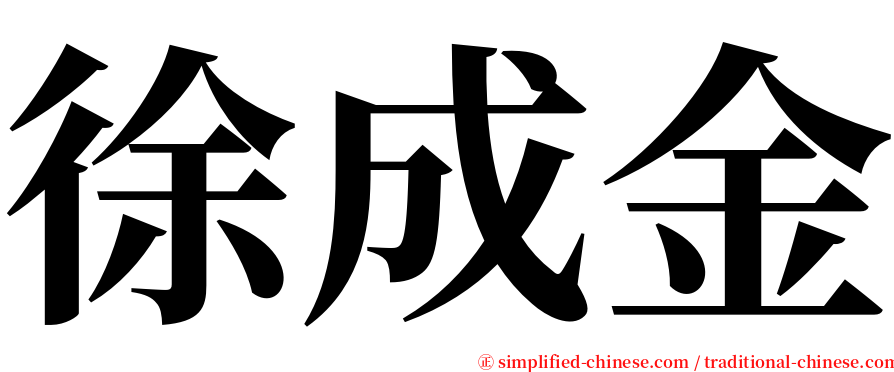 徐成金 serif font